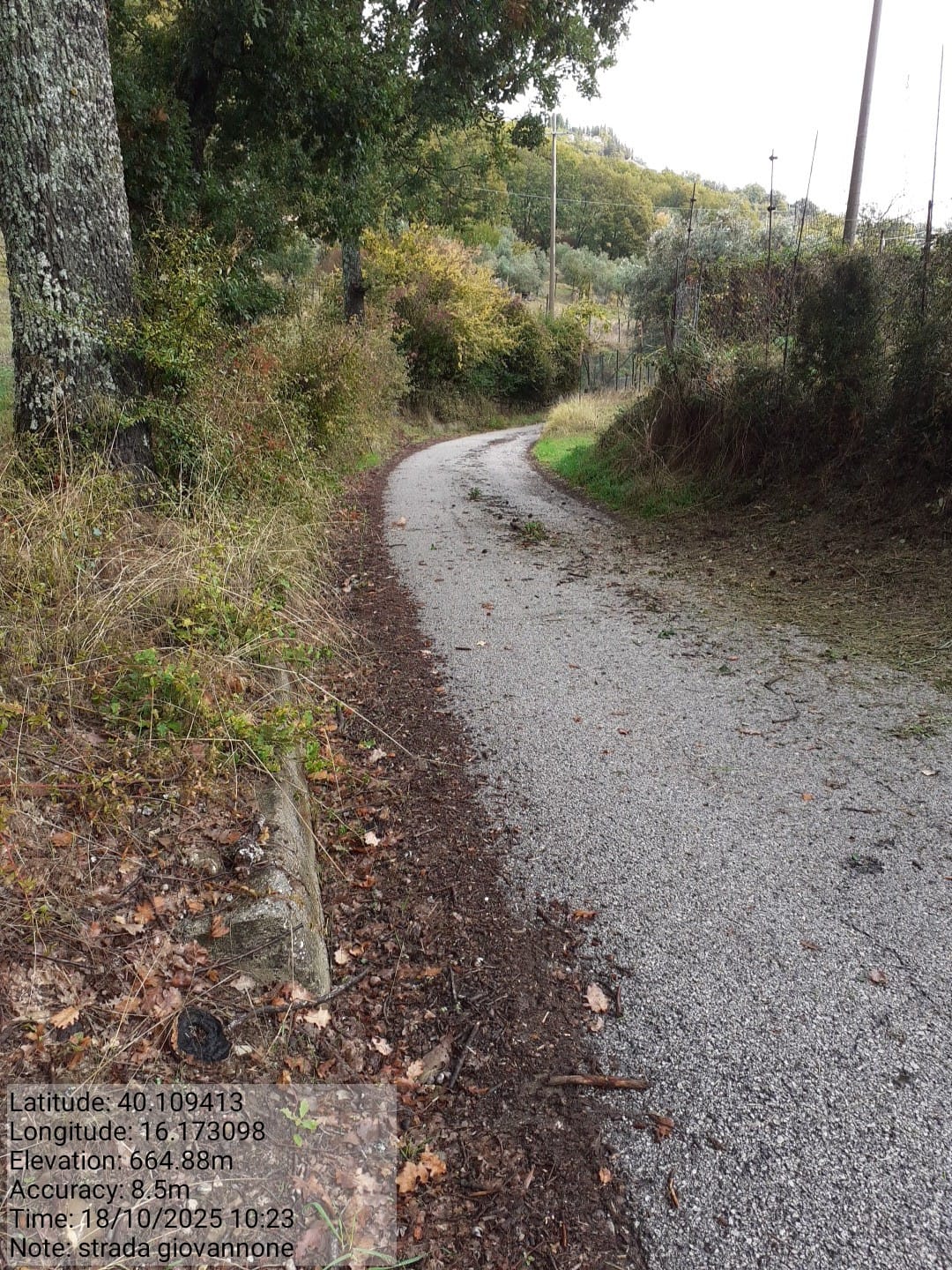 Galleria Fotografica Immagine