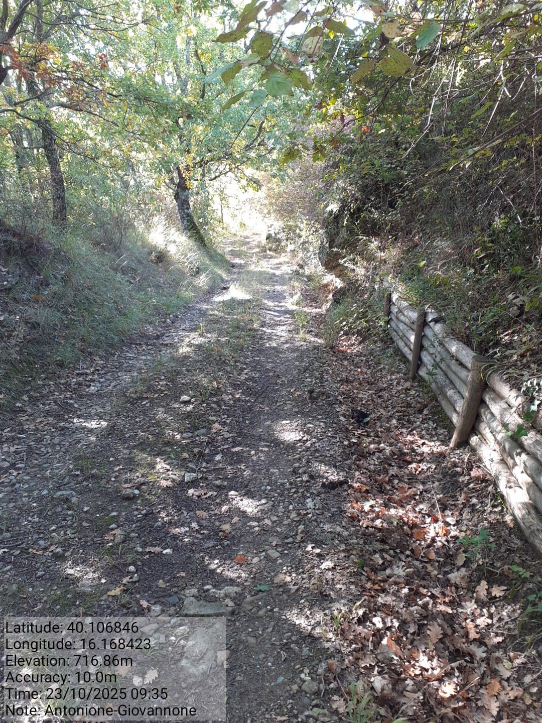 Galleria Fotografica Immagine