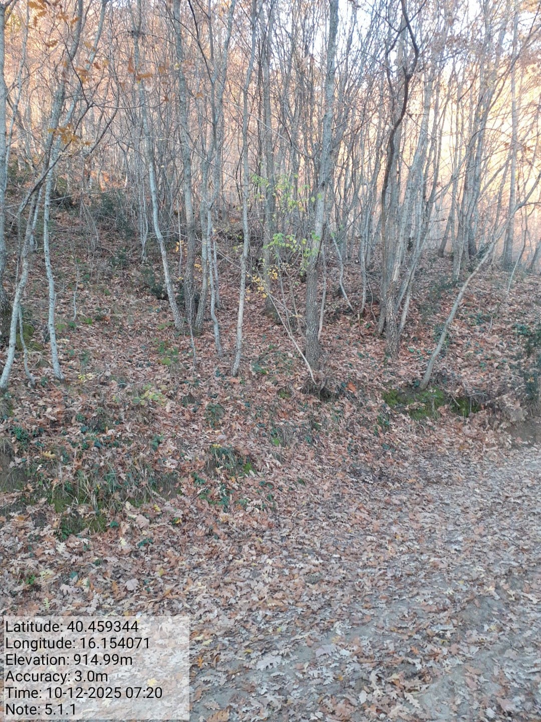 Galleria Fotografica Immagine