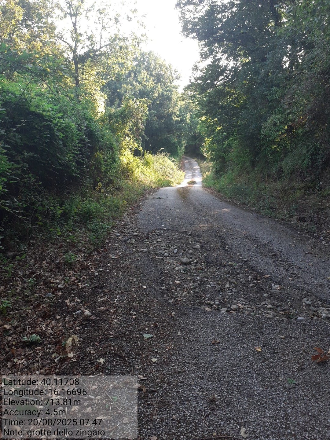 Galleria Fotografica Immagine