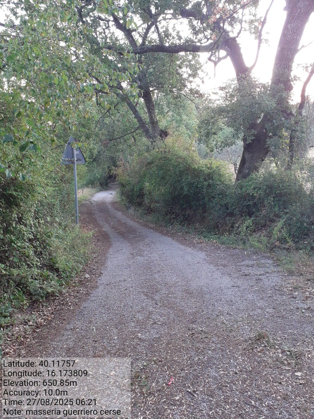 Galleria Fotografica Immagine