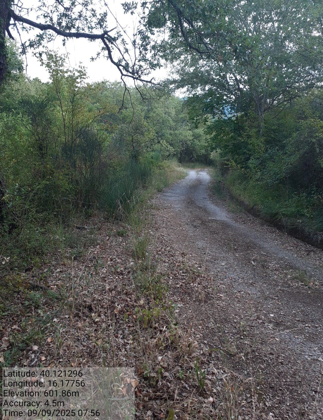 Galleria Fotografica Immagine