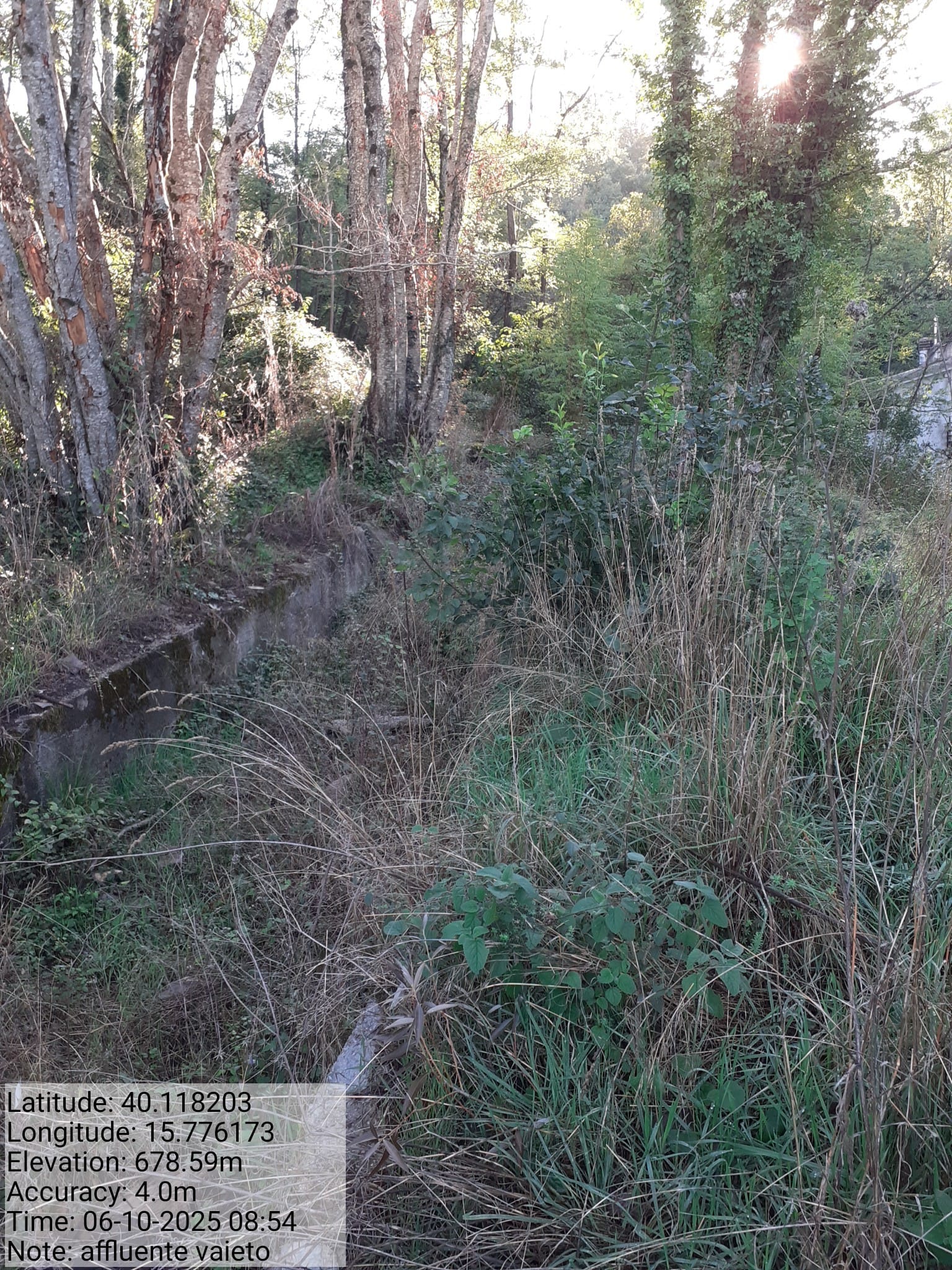 Galleria Fotografica Immagine