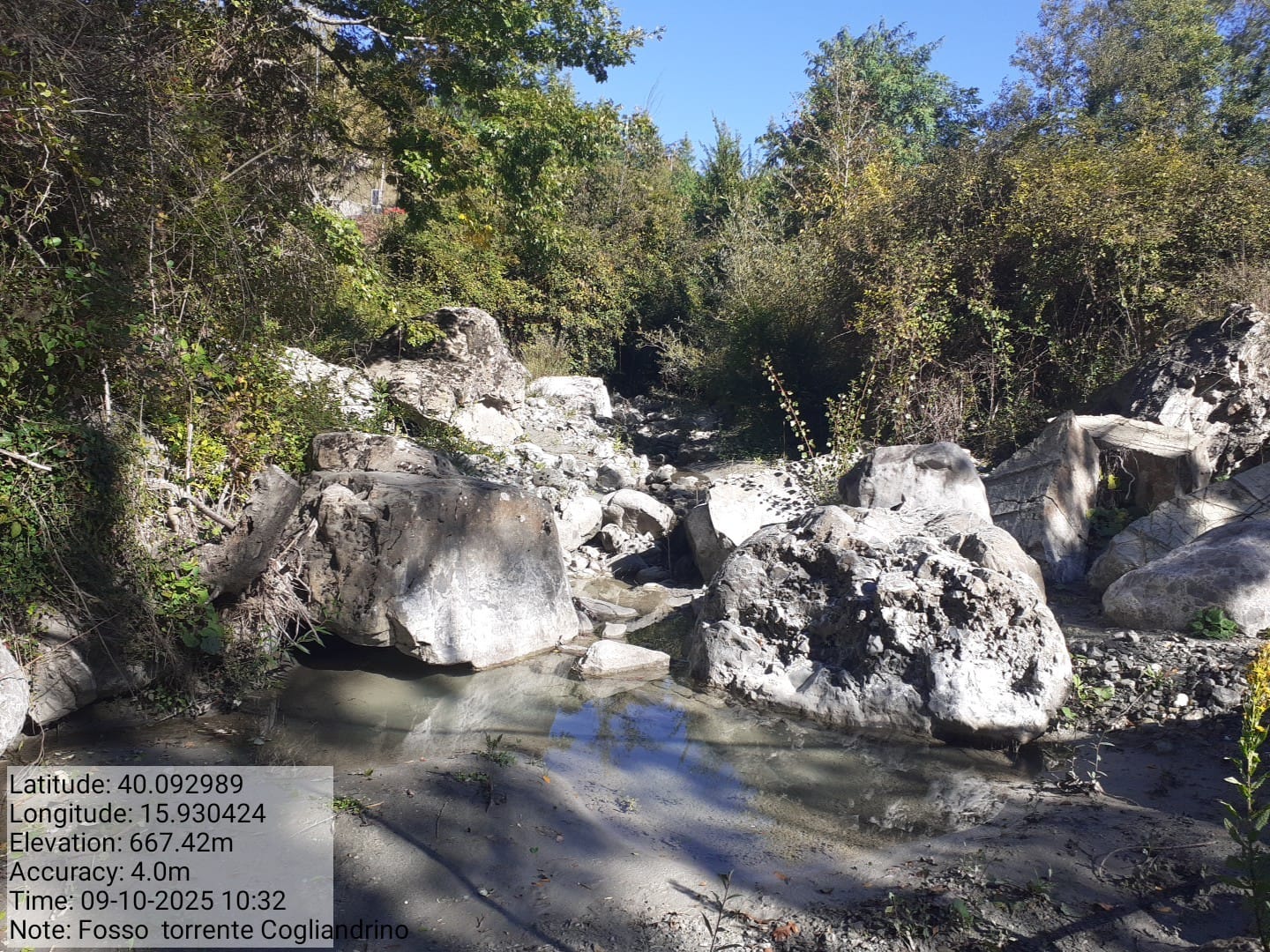 Galleria Fotografica Immagine