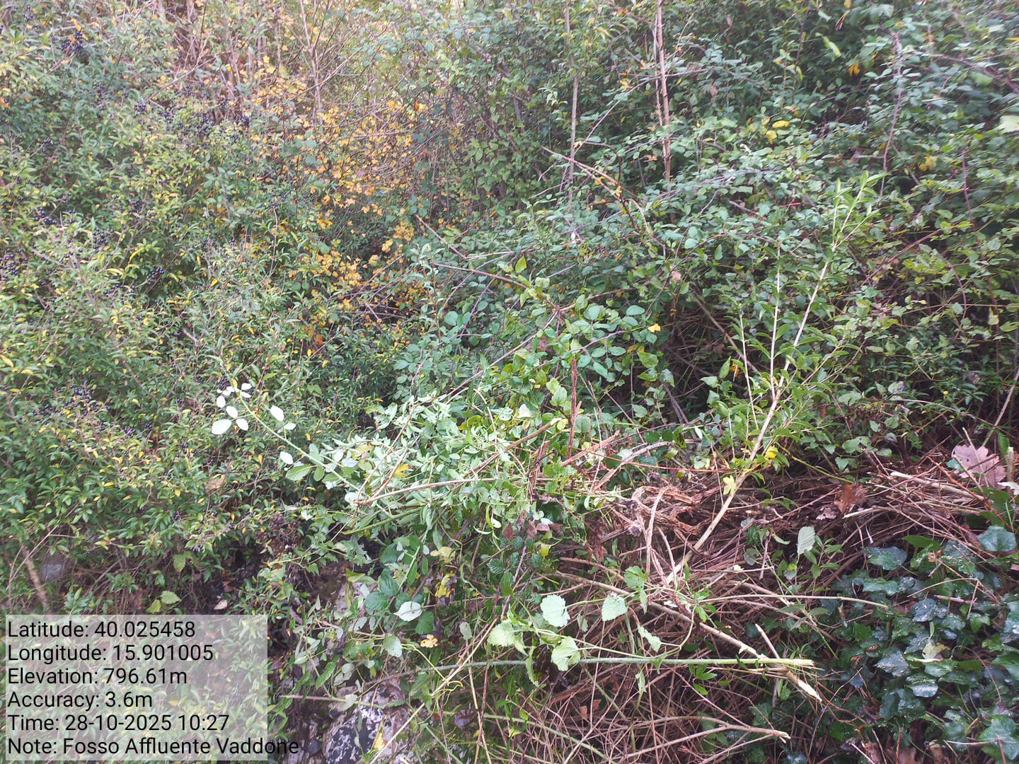 Galleria Fotografica Immagine