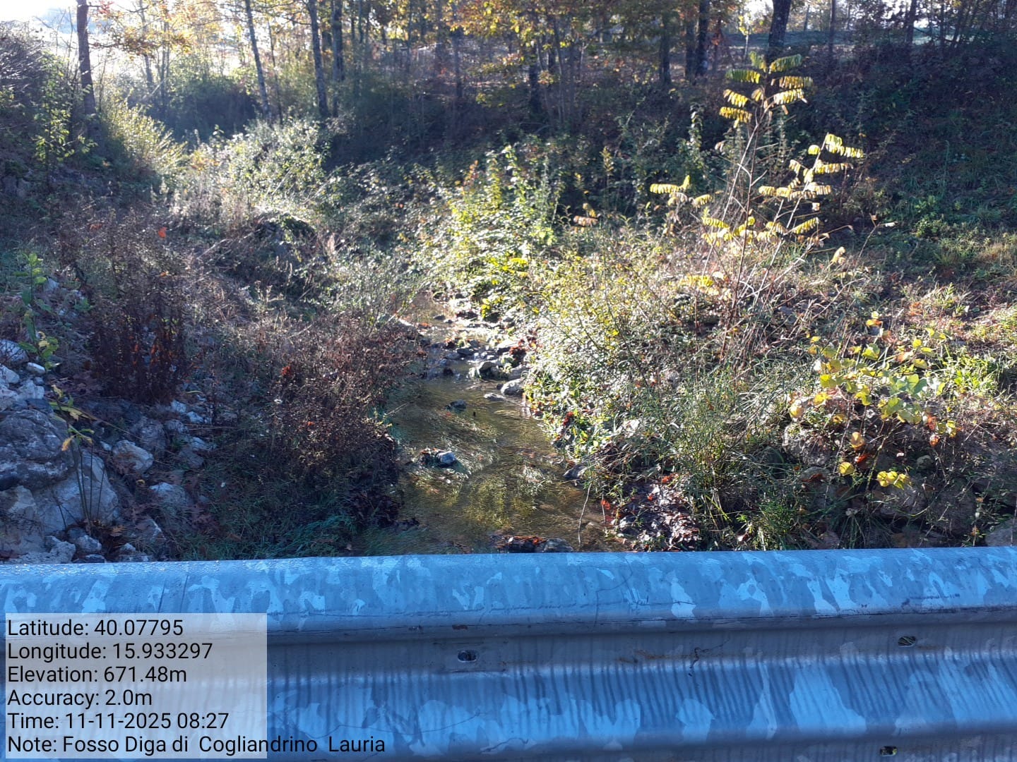 Galleria Fotografica Immagine