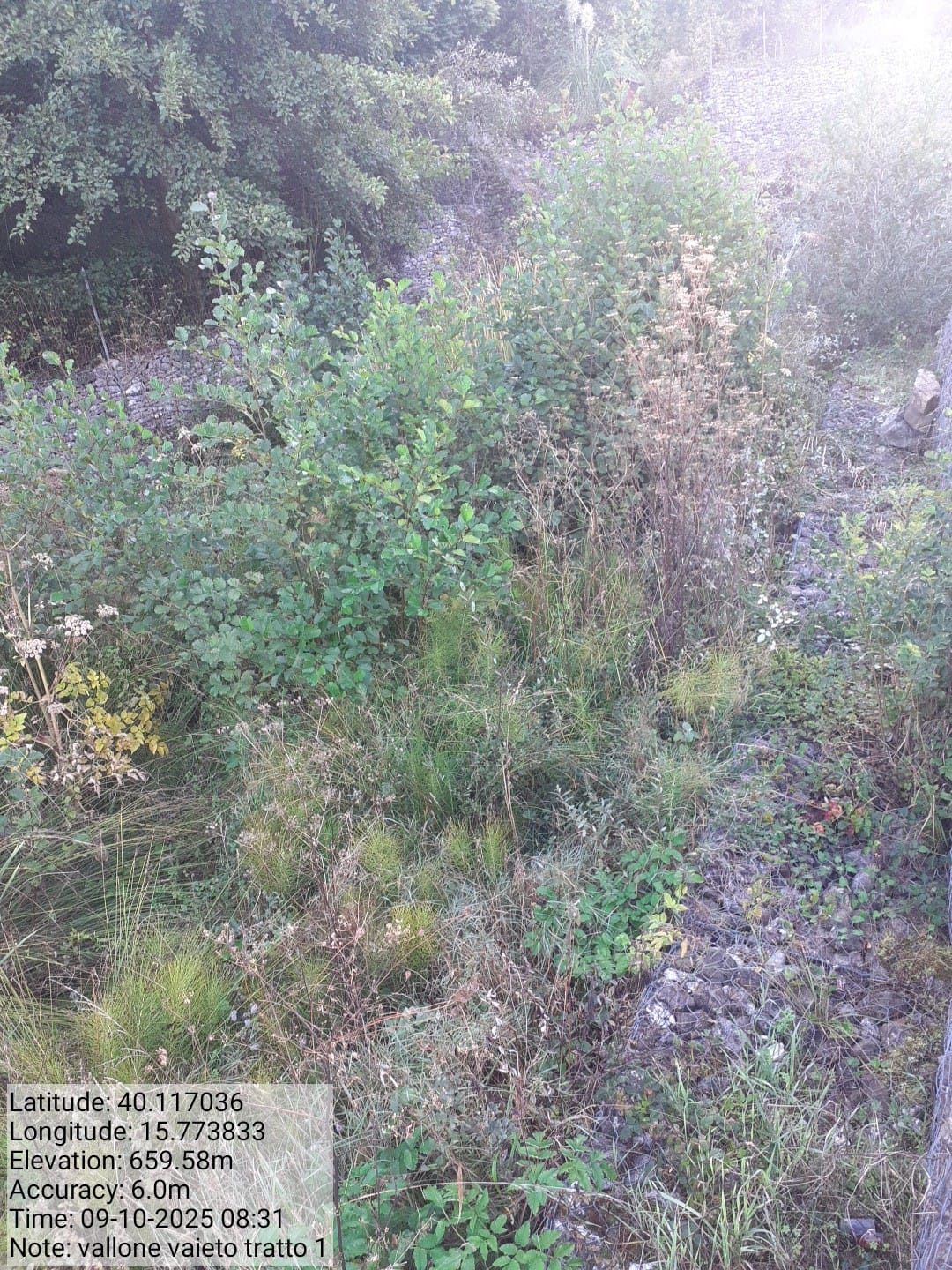 Galleria Fotografica Immagine