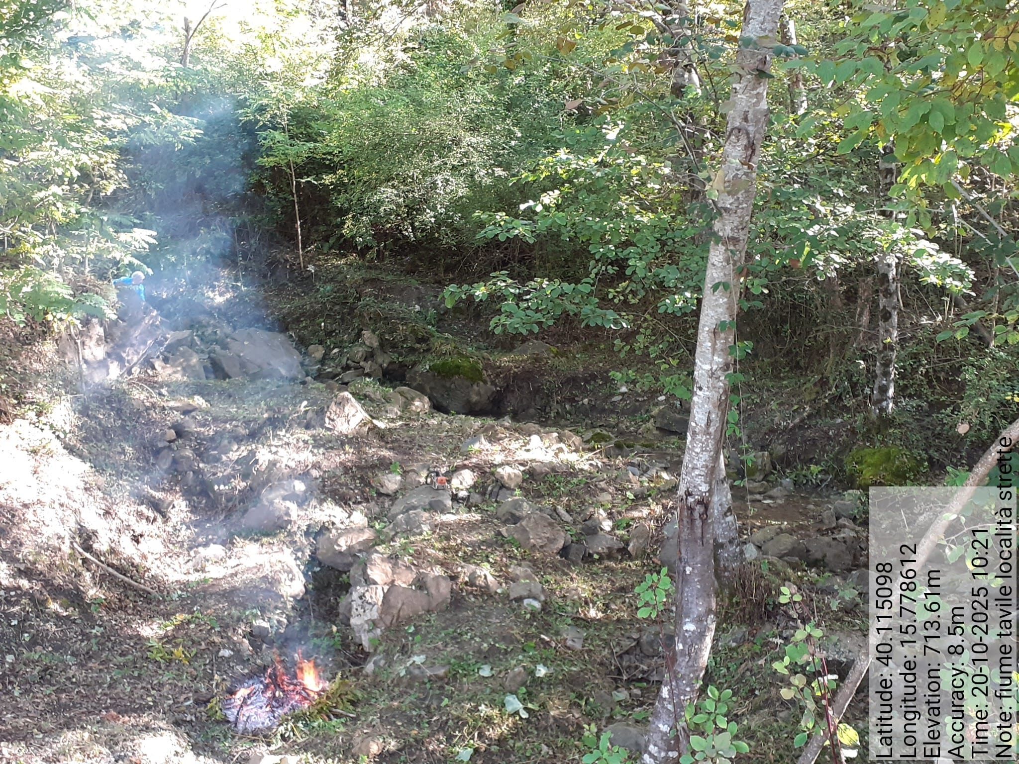 Galleria Fotografica Immagine