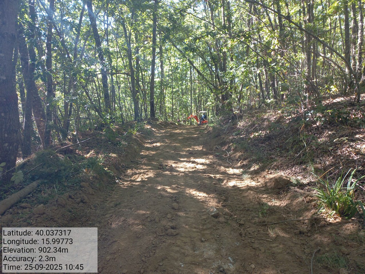 Galleria Fotografica Immagine