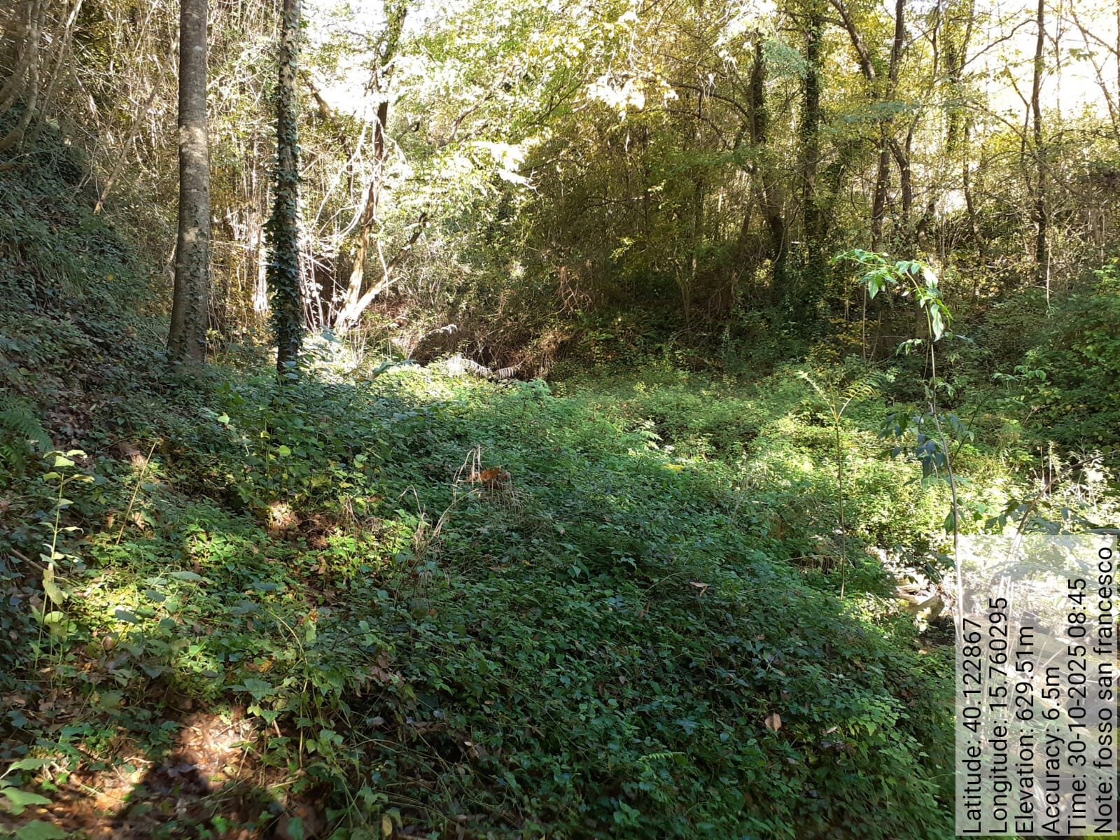 Galleria Fotografica Immagine