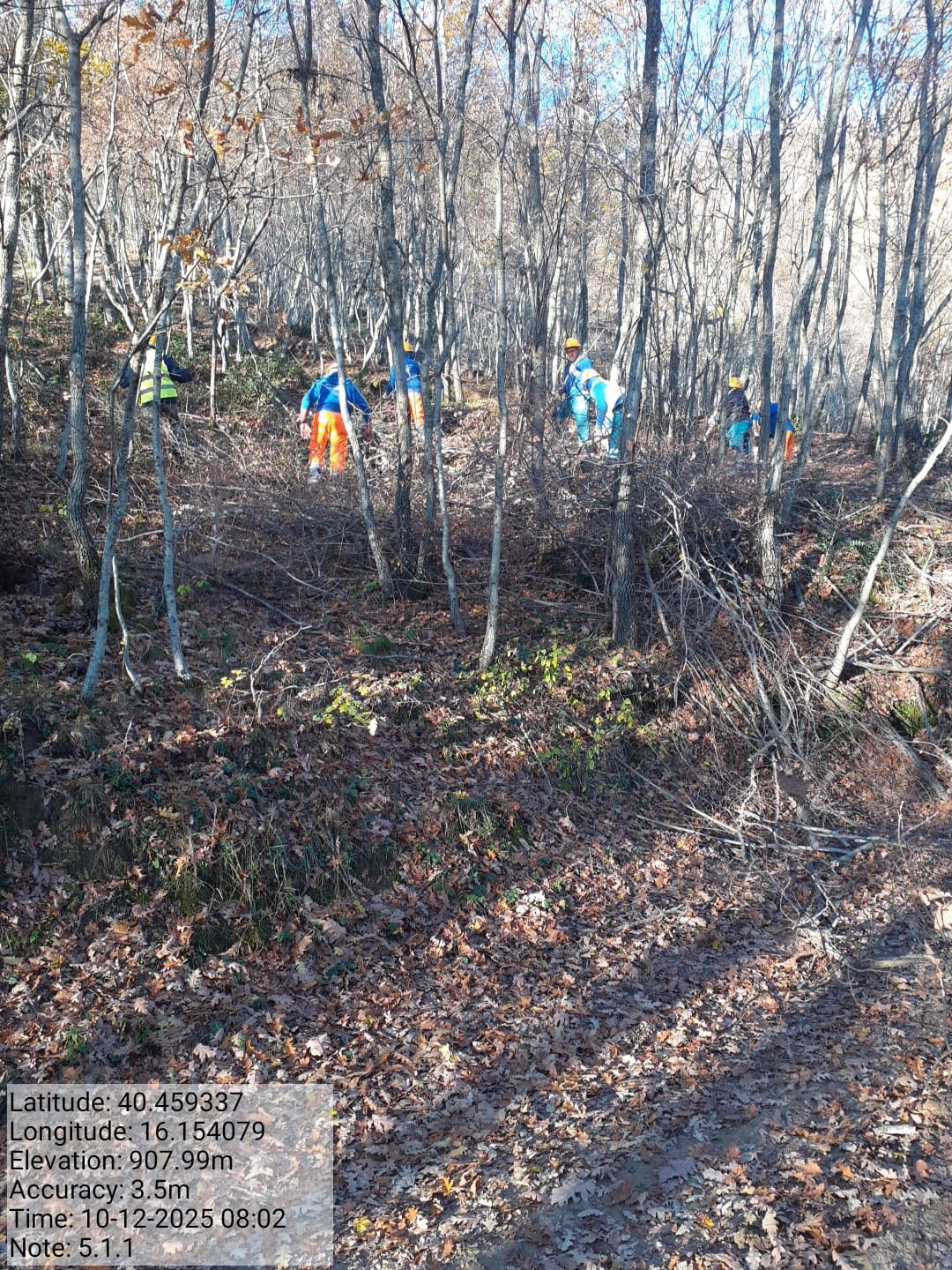 Galleria Fotografica Immagine