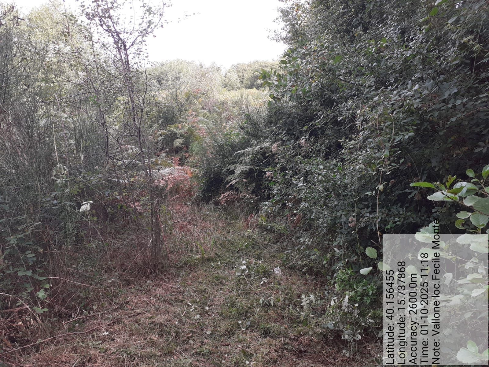 Galleria Fotografica Immagine