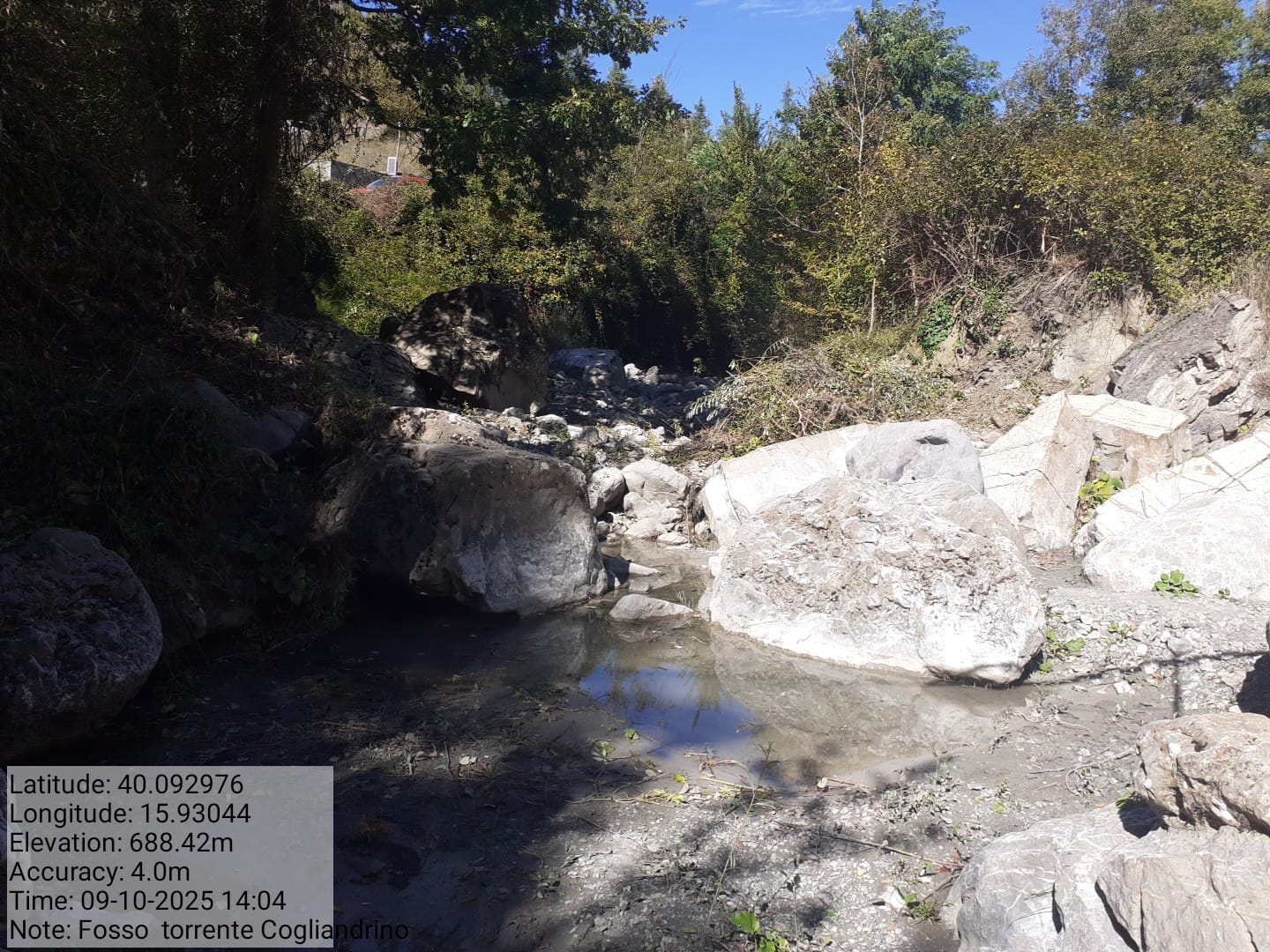 Galleria Fotografica Immagine