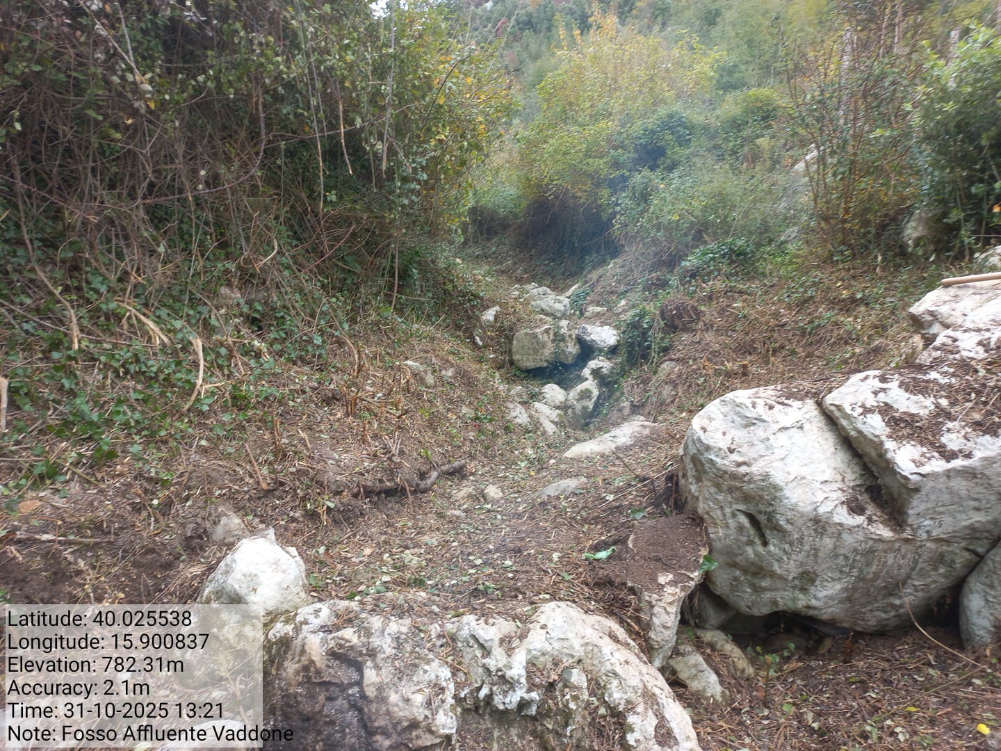 Galleria Fotografica Immagine