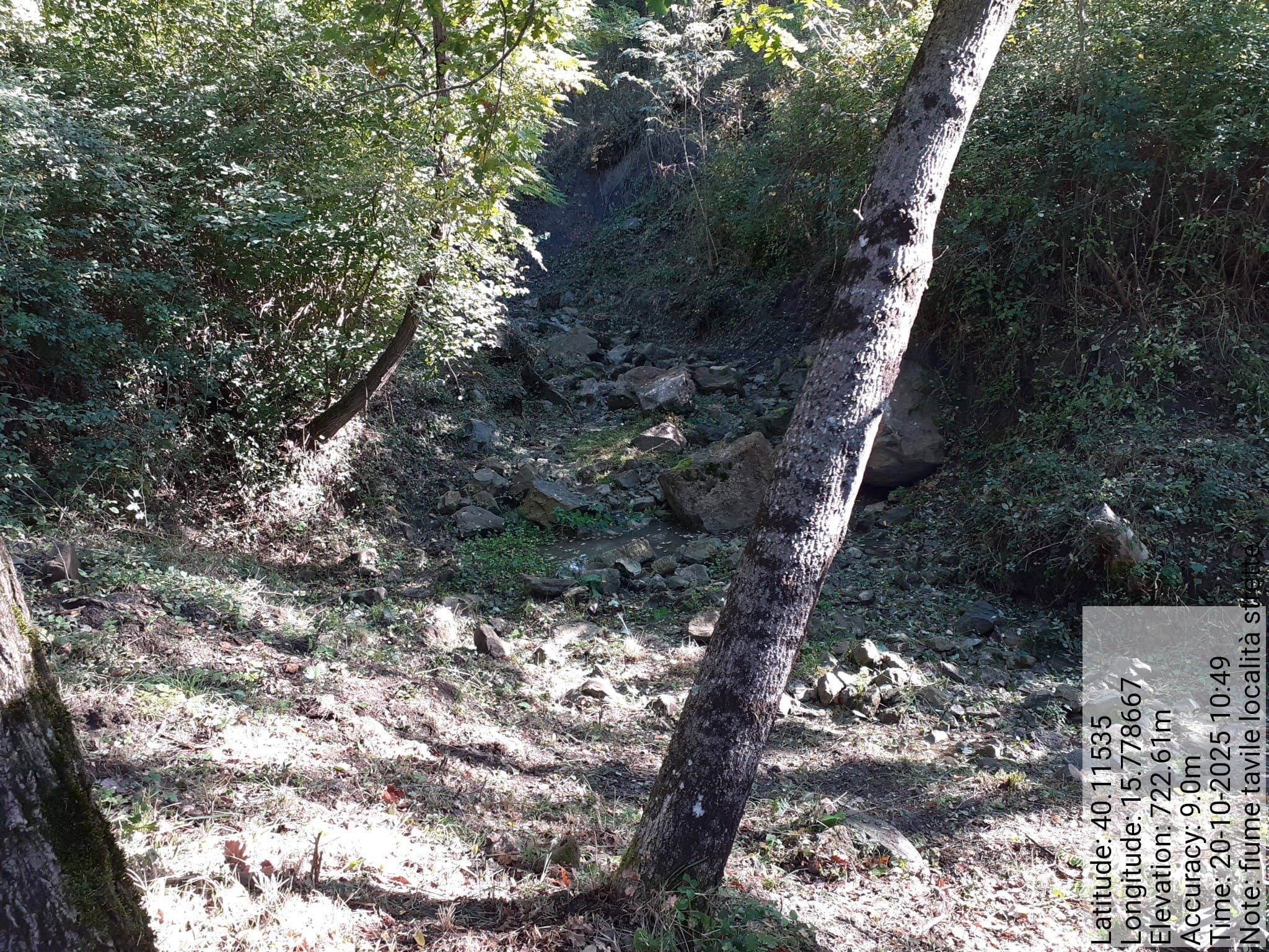 Galleria Fotografica Immagine