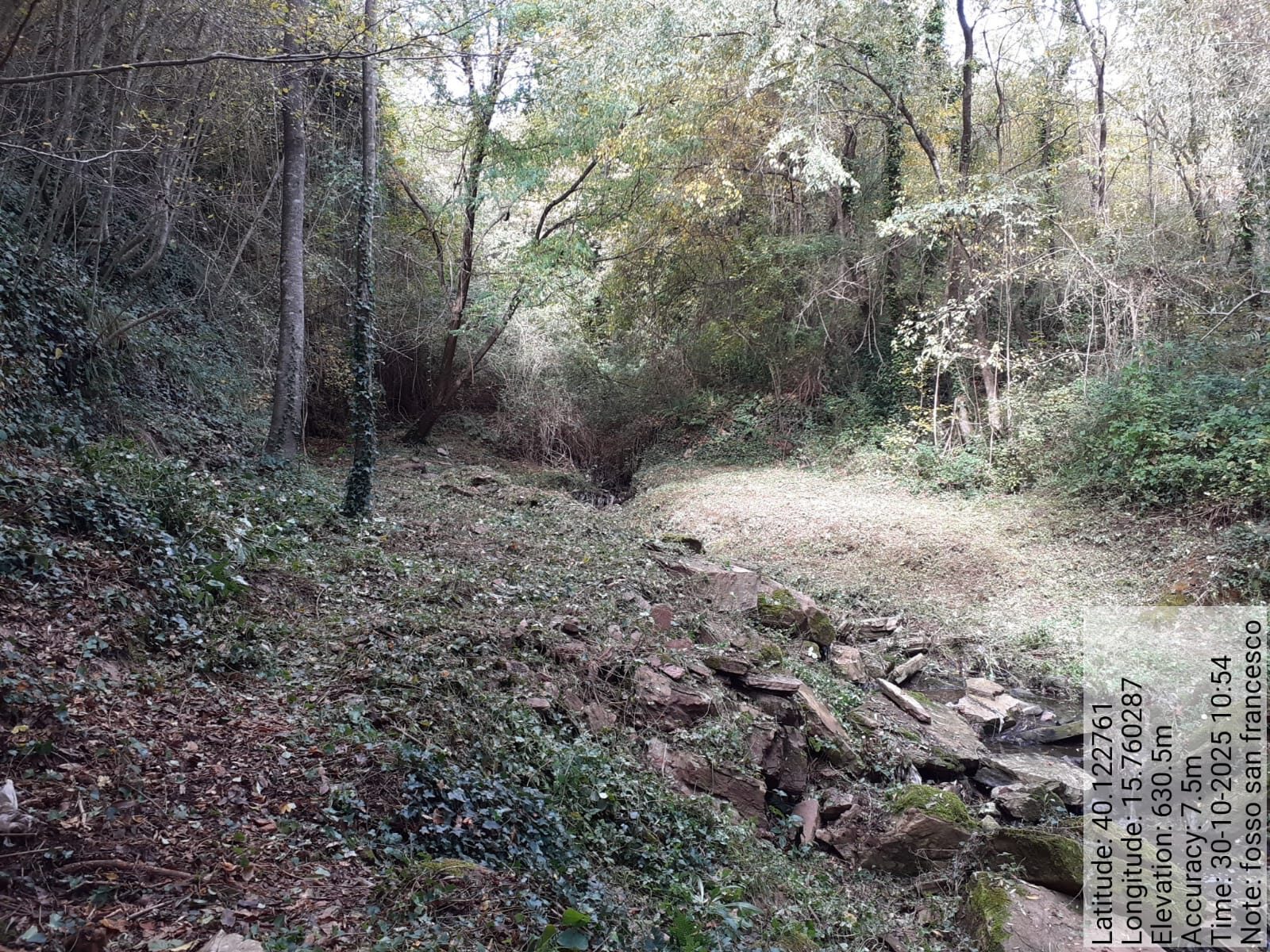 Galleria Fotografica Immagine