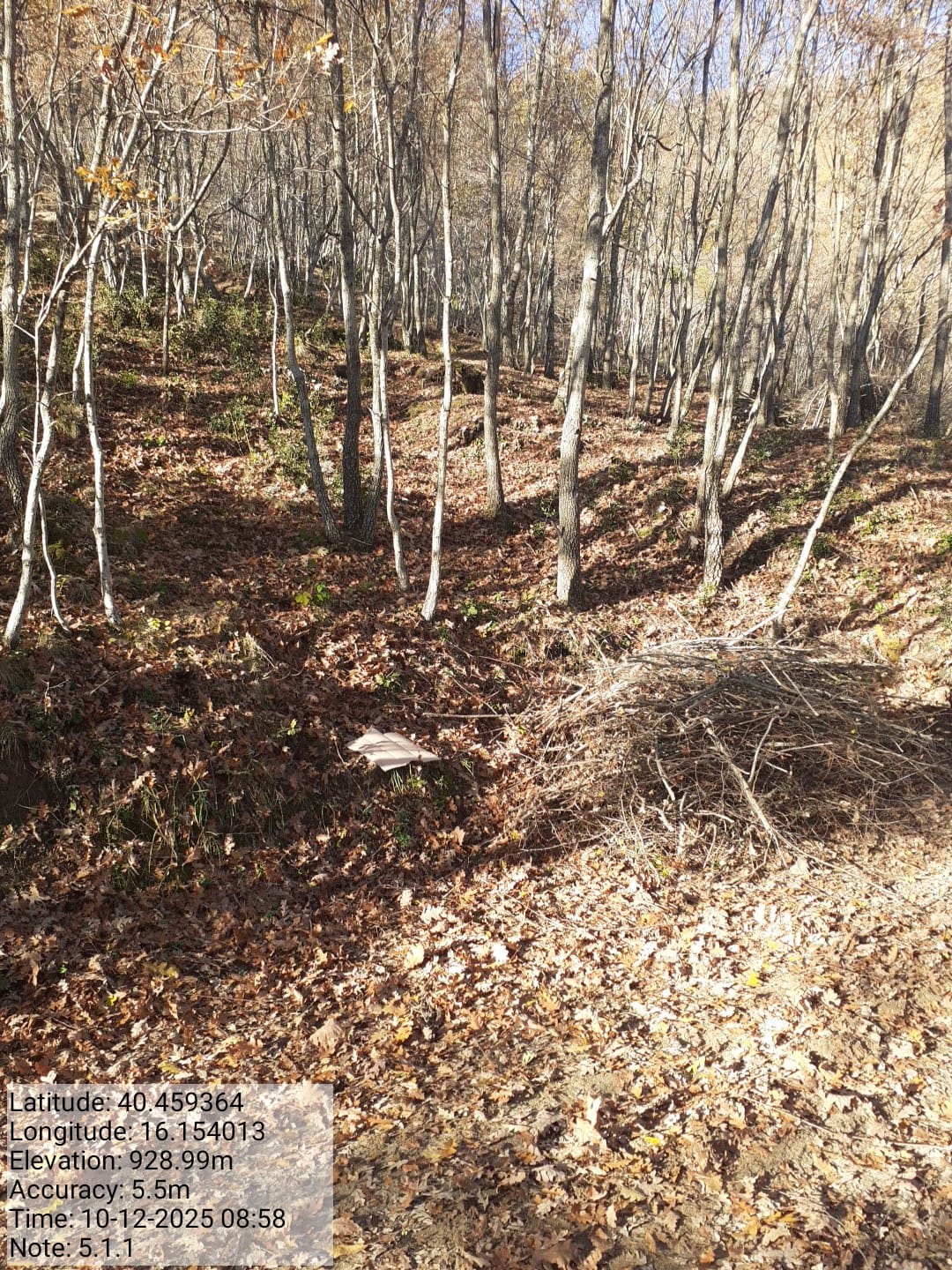 Galleria Fotografica Immagine