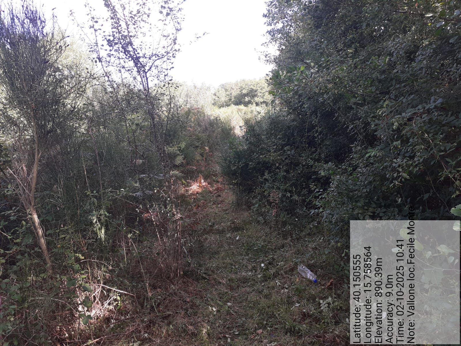 Galleria Fotografica Immagine