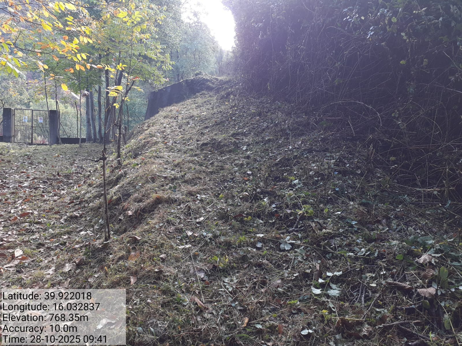 Galleria Fotografica Immagine