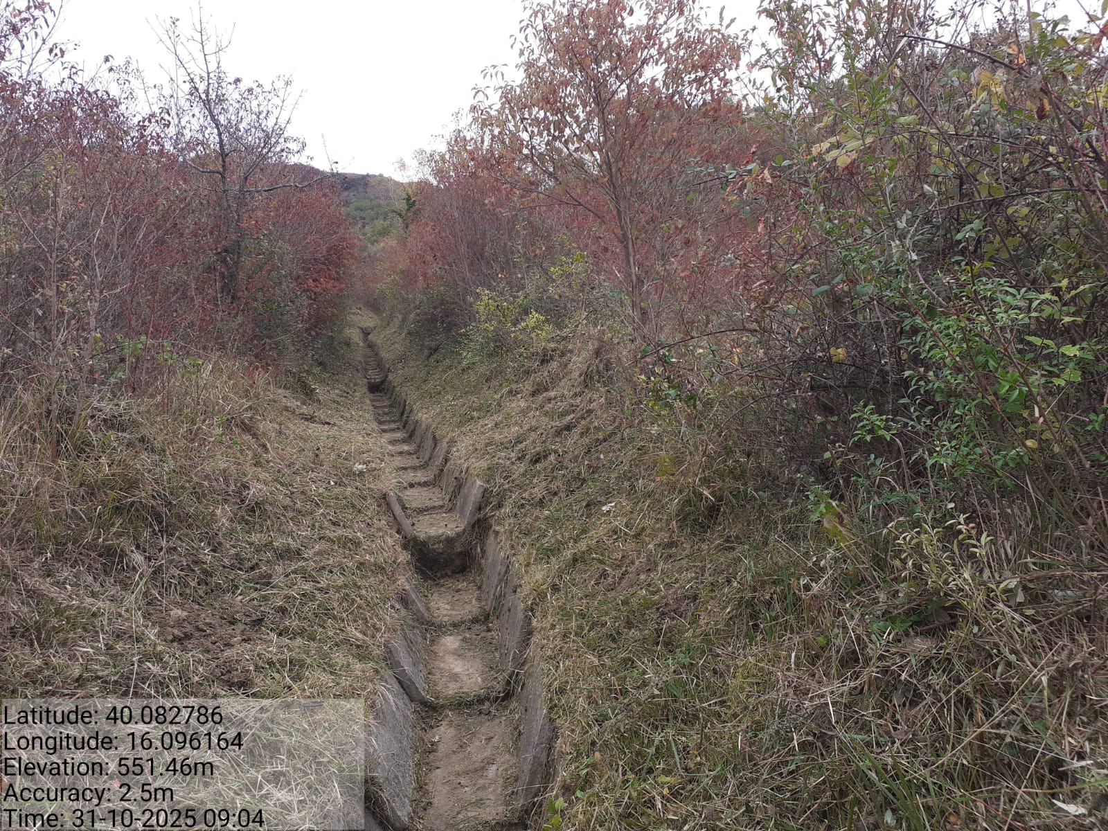 Galleria Fotografica Immagine