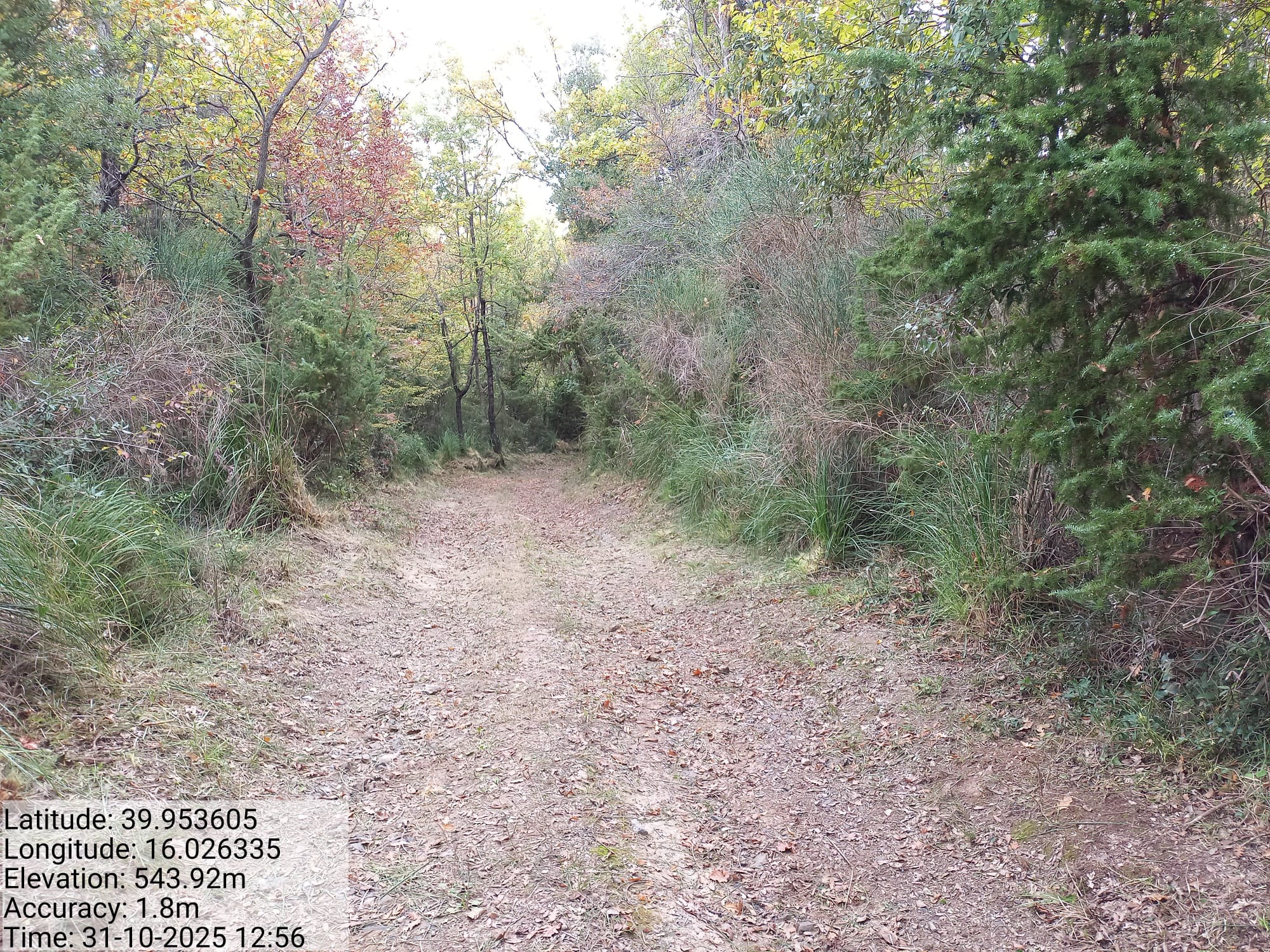 Galleria Fotografica Immagine