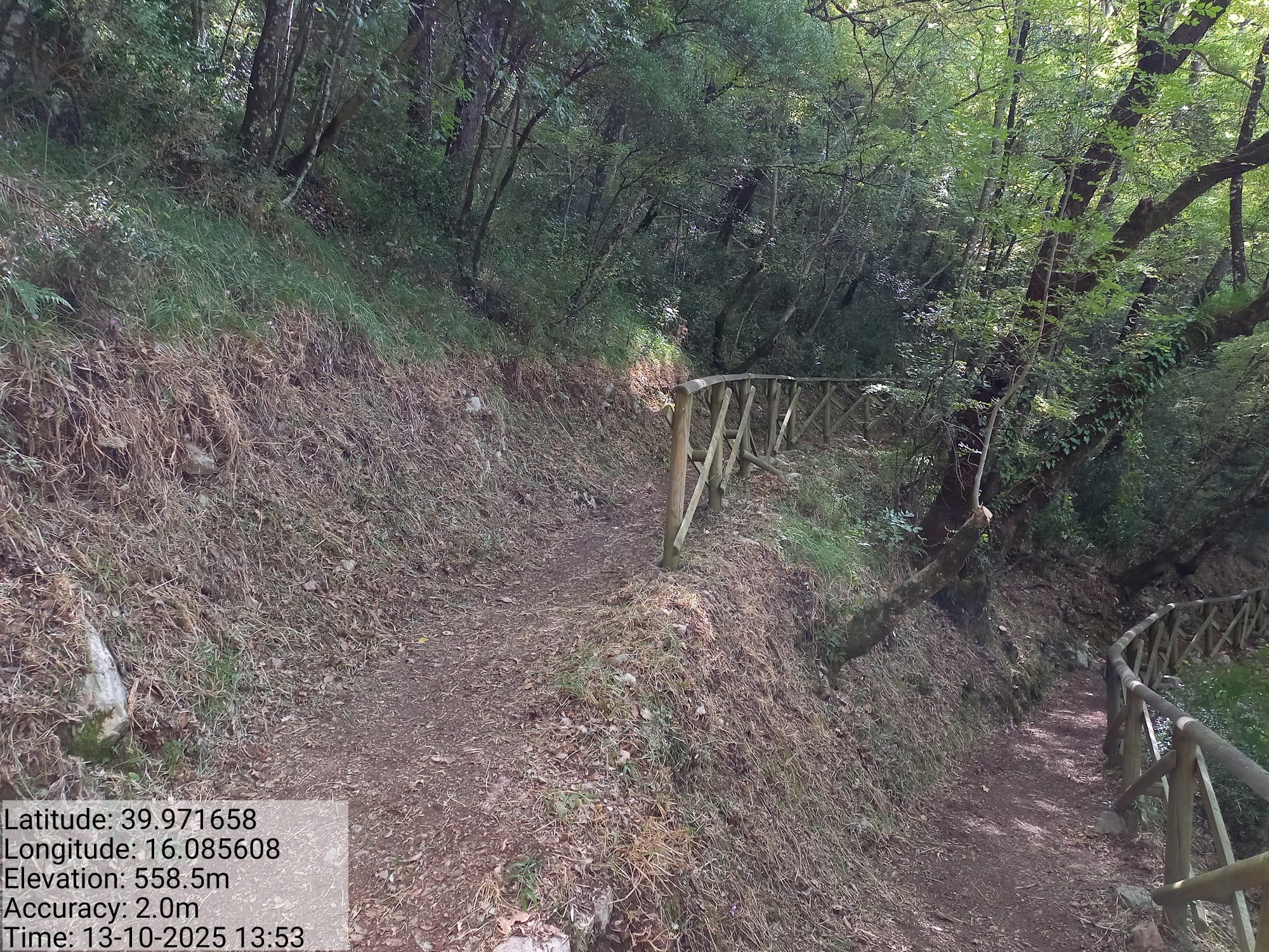 Galleria Fotografica Immagine