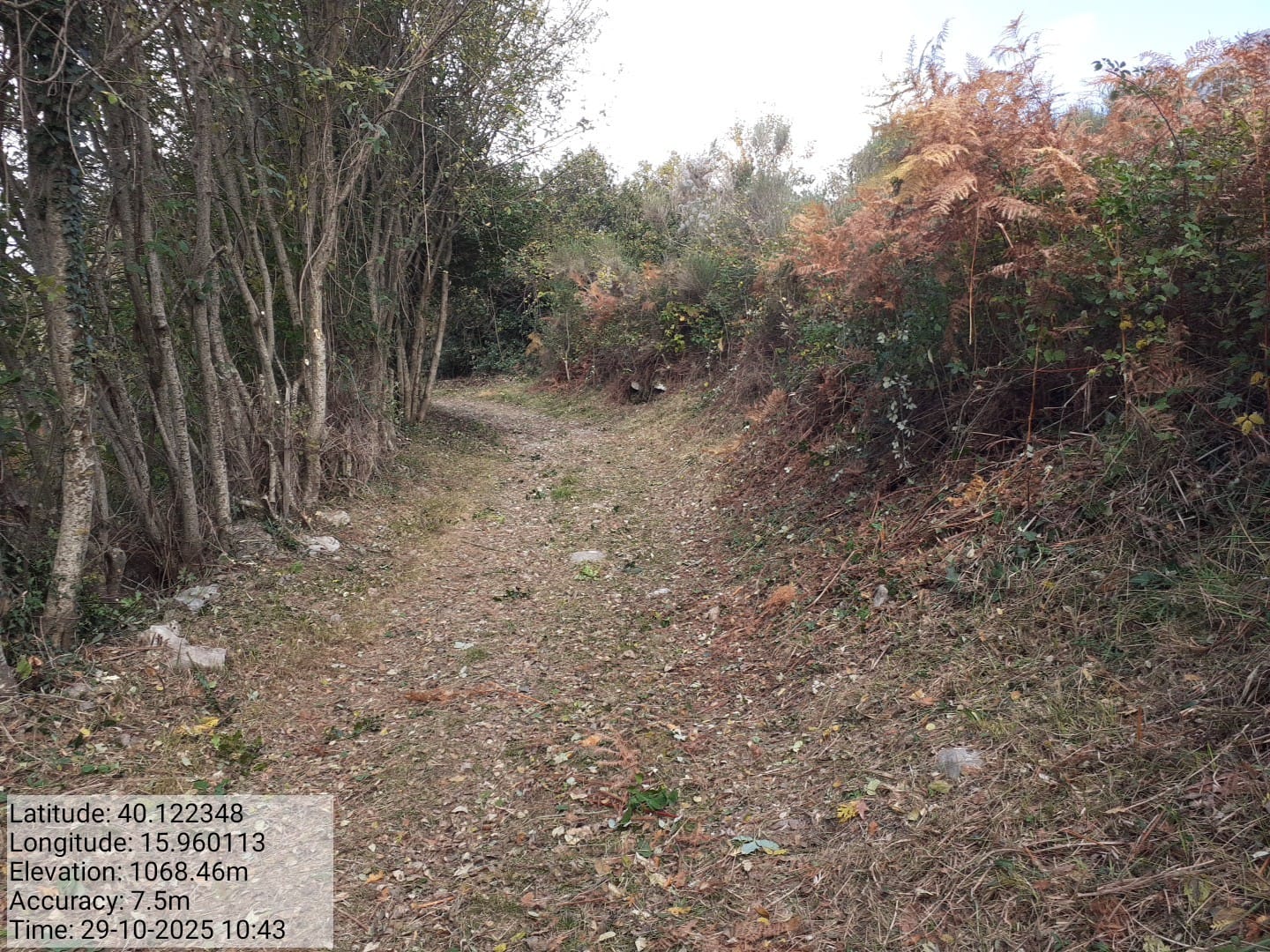 Galleria Fotografica Immagine