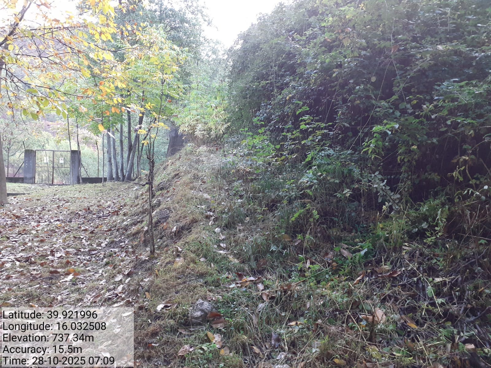 Galleria Fotografica Immagine