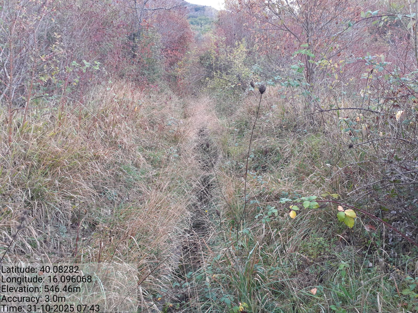 Galleria Fotografica Immagine