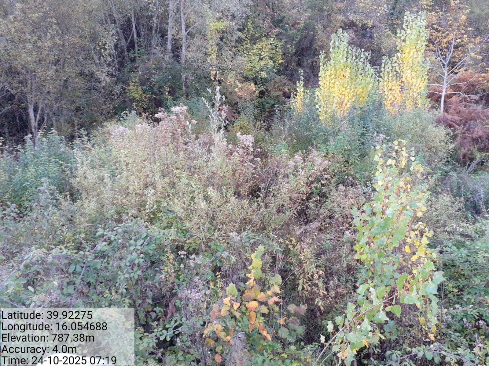 Galleria Fotografica Immagine