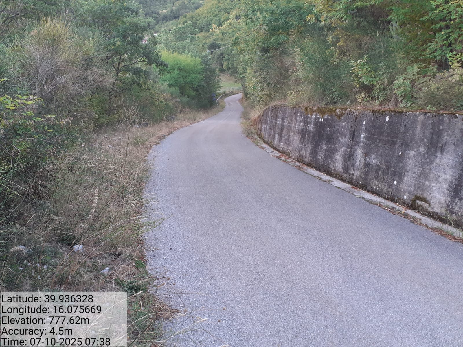 Galleria Fotografica Immagine