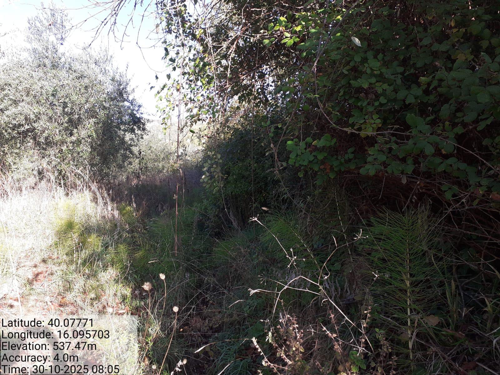 Galleria Fotografica Immagine