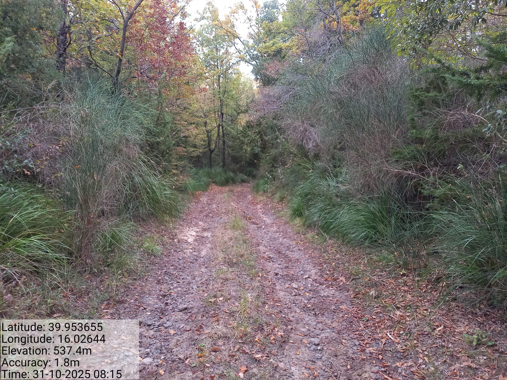 Galleria Fotografica Immagine