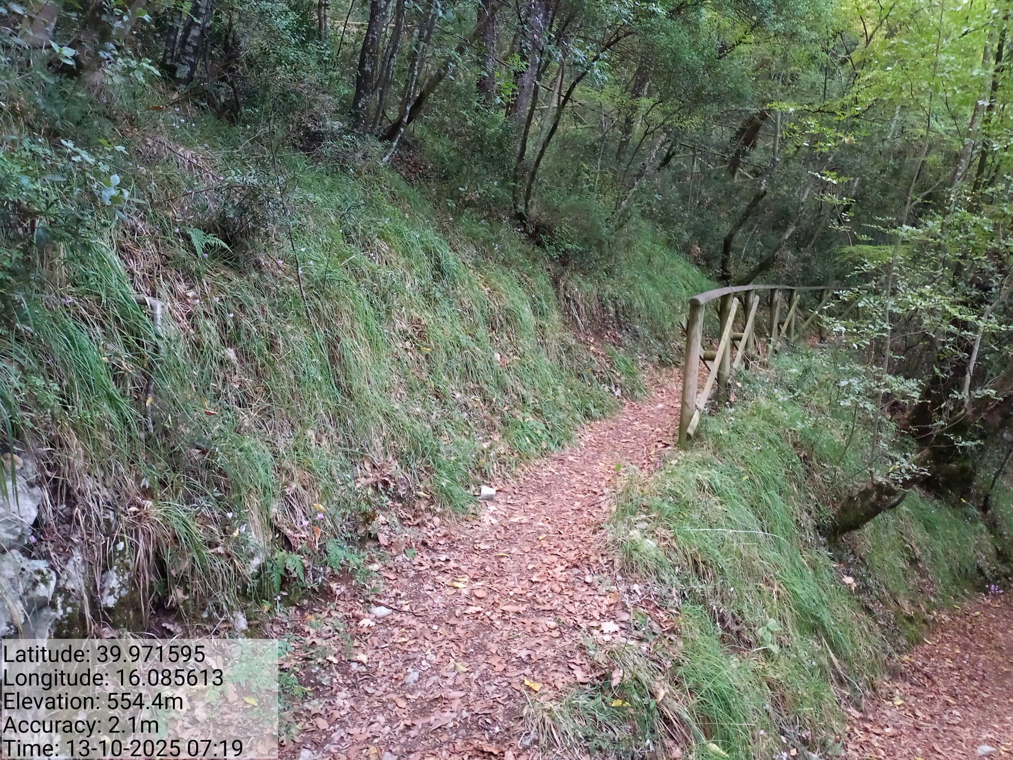 Galleria Fotografica Immagine