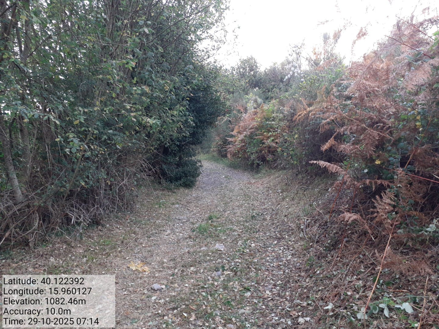 Galleria Fotografica Immagine