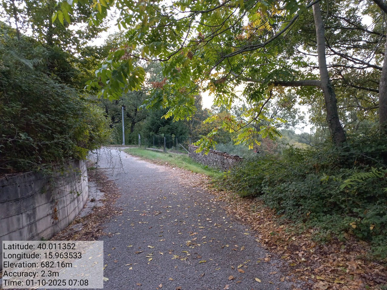 Galleria Fotografica Immagine