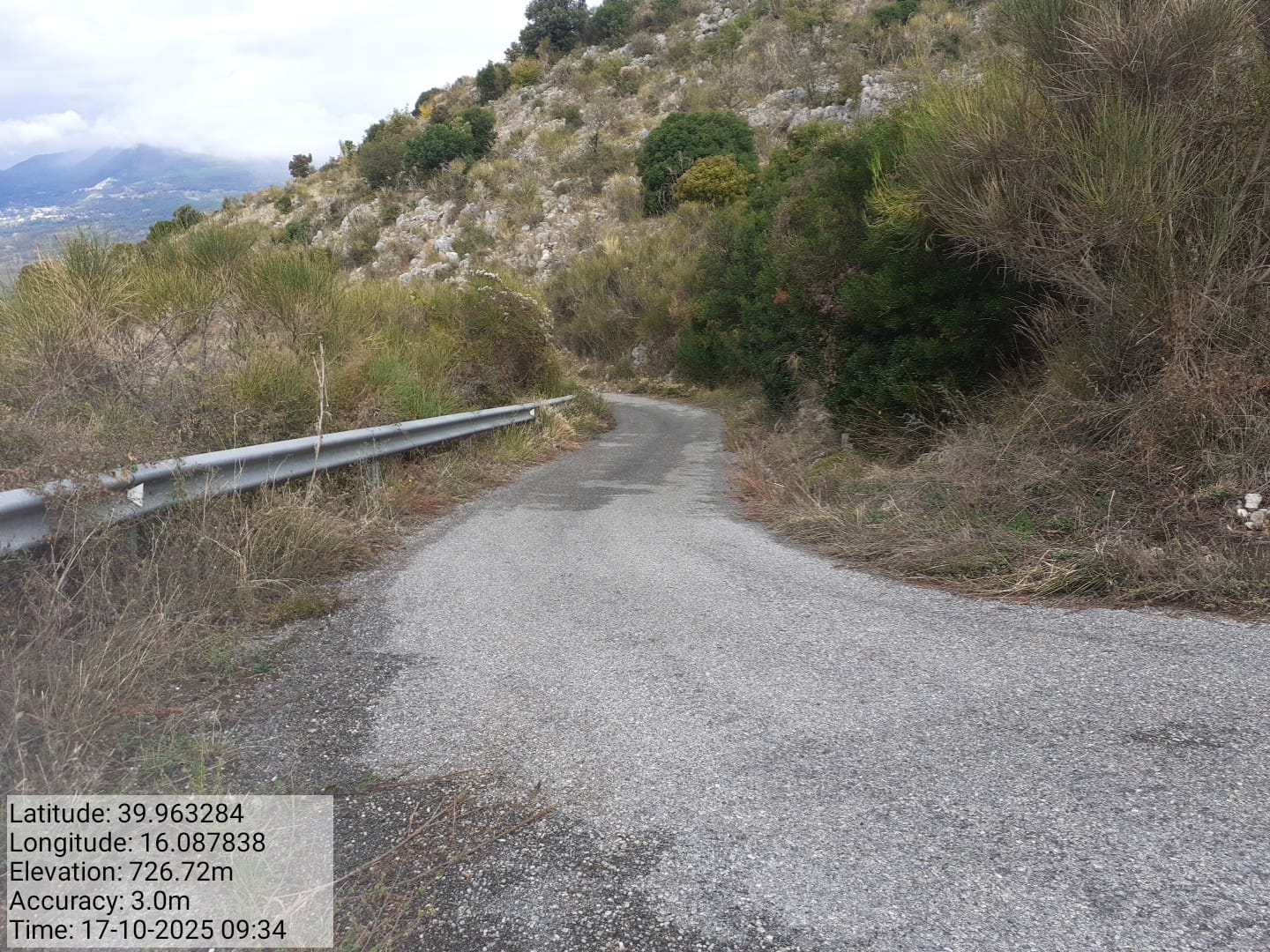 Galleria Fotografica Immagine