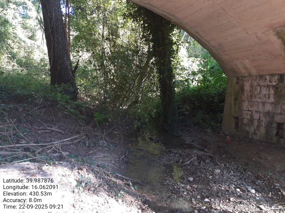 Galleria Fotografica Immagine