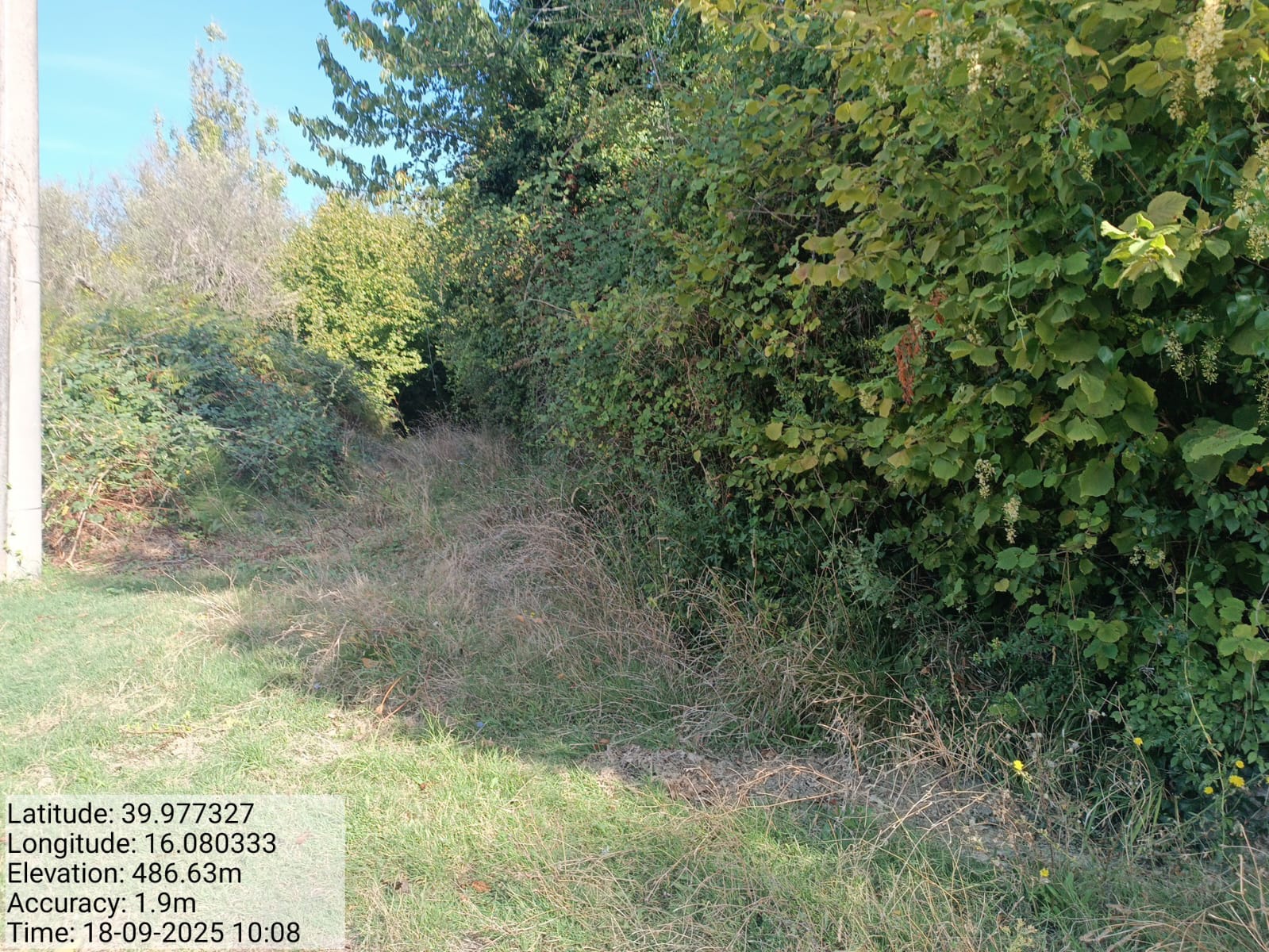 Galleria Fotografica Immagine