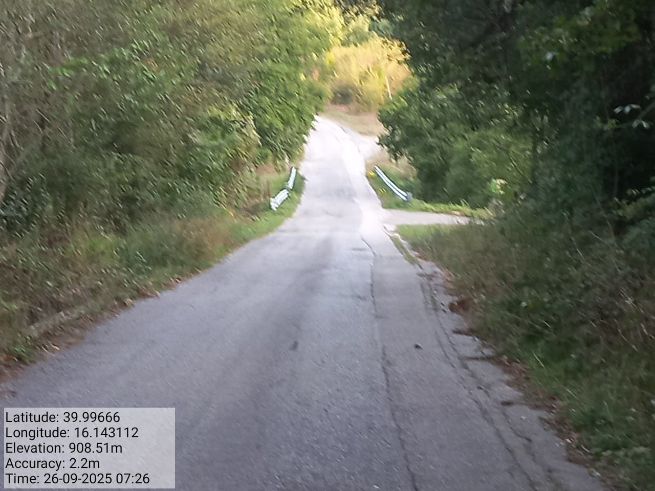 Galleria Fotografica Immagine