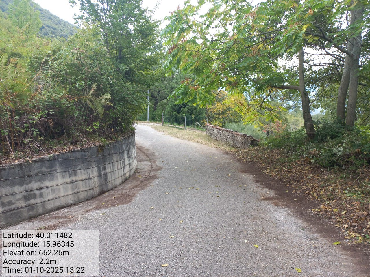 Galleria Fotografica Immagine