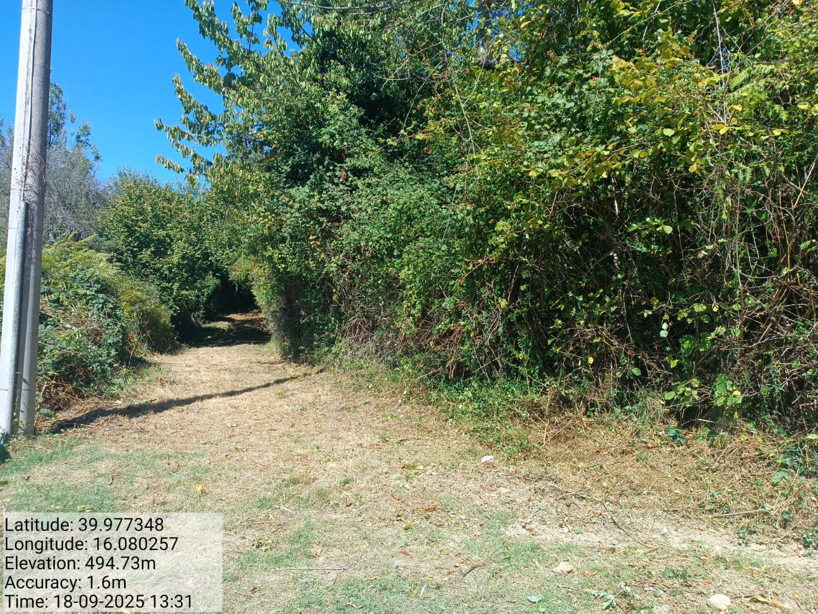 Galleria Fotografica Immagine