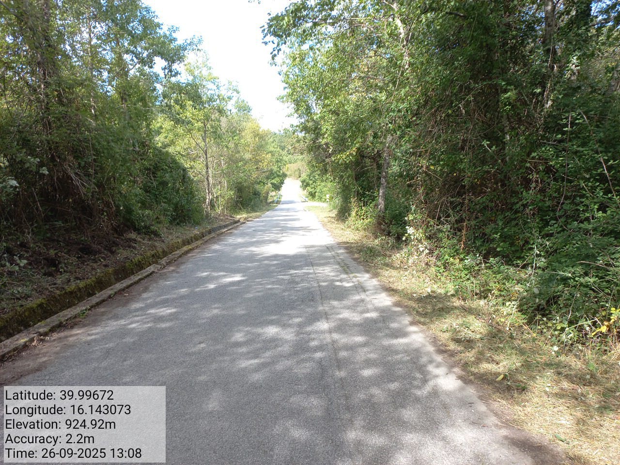 Galleria Fotografica Immagine