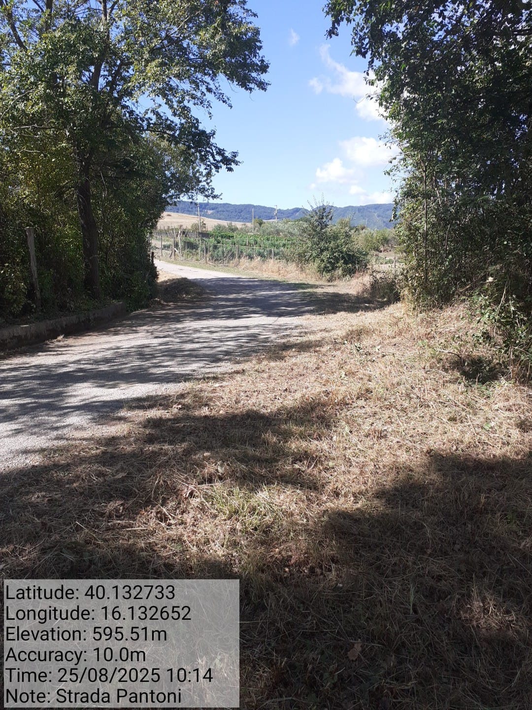 Galleria Fotografica Immagine