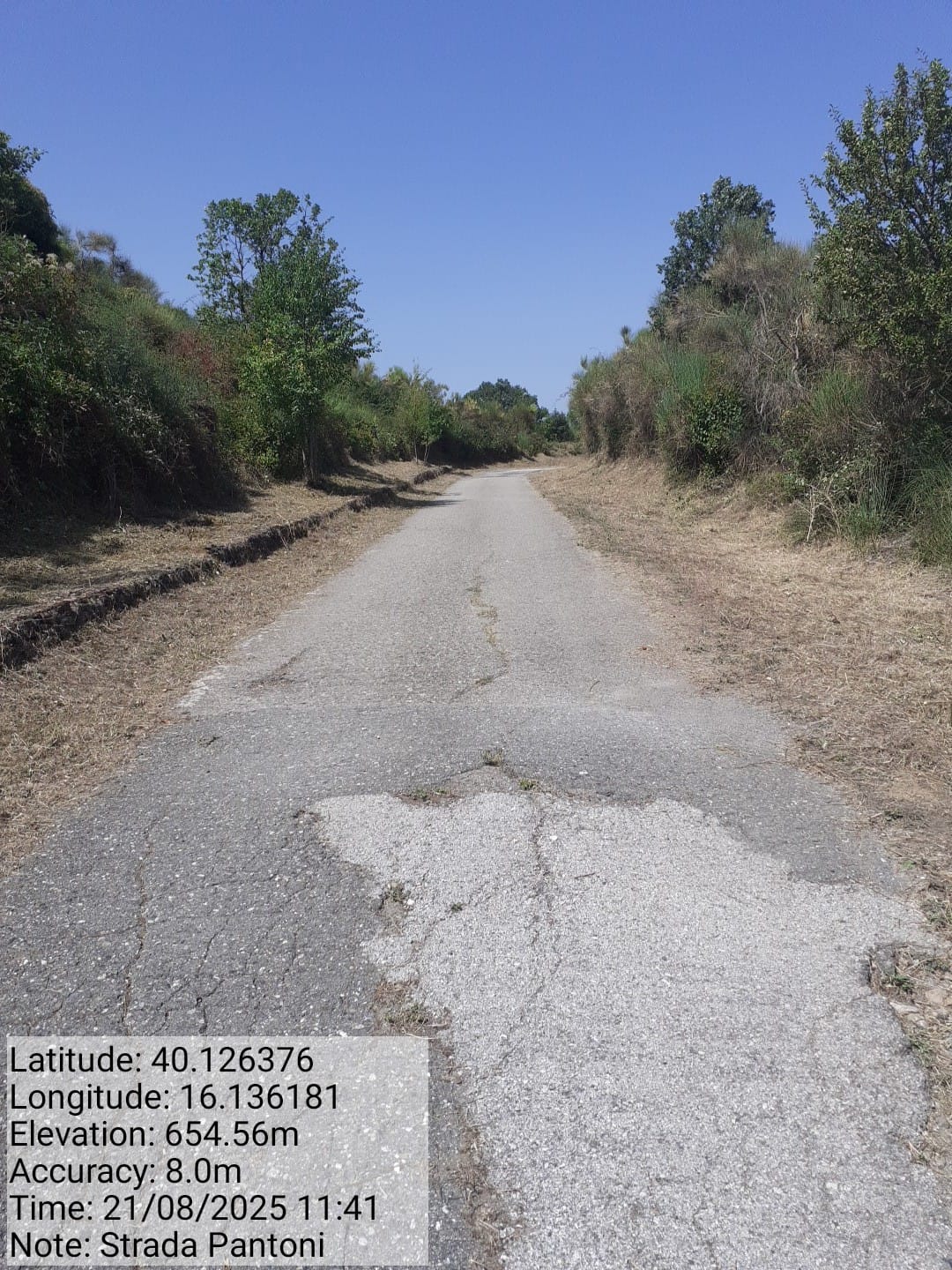 Galleria Fotografica Immagine