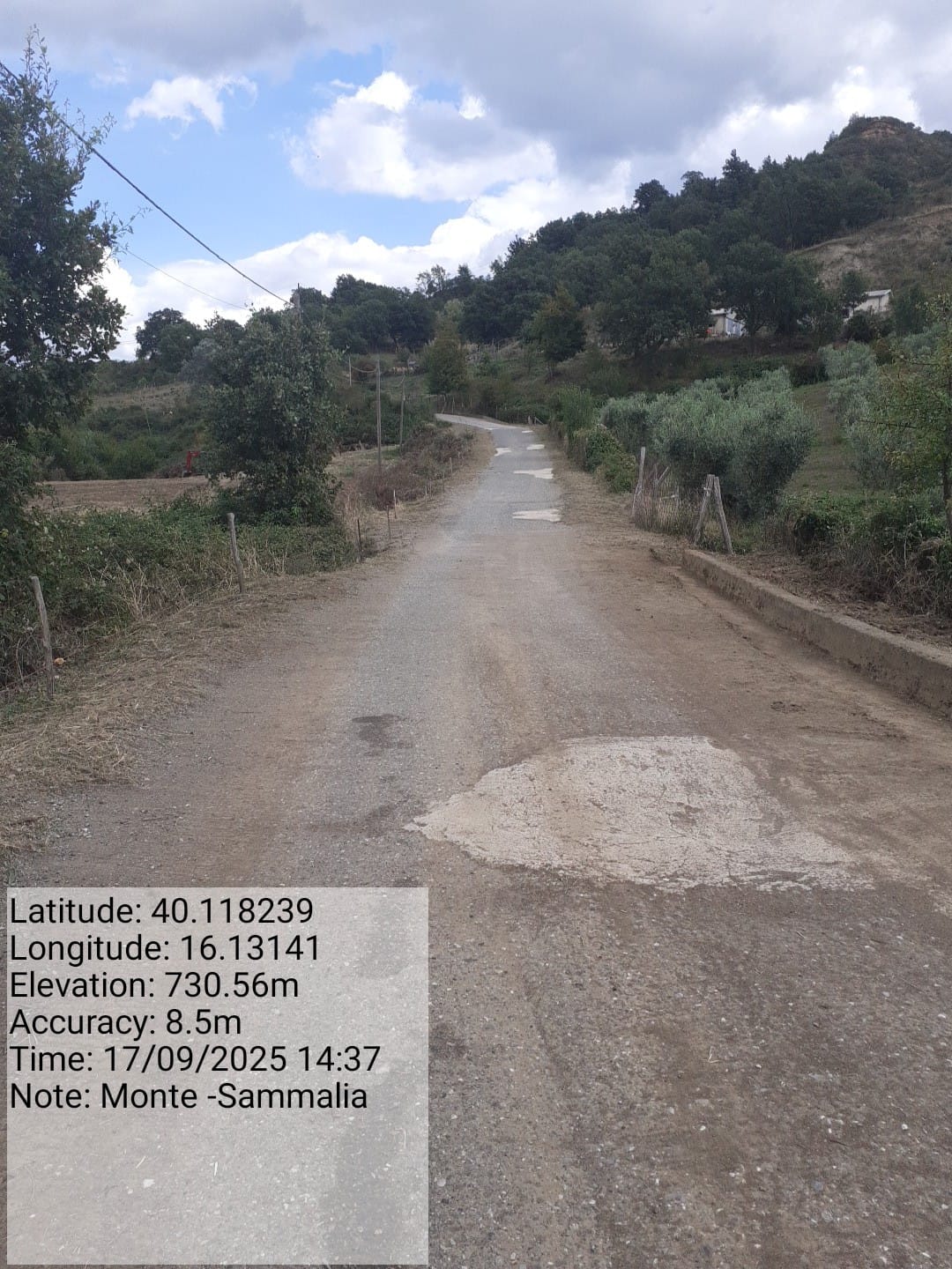 Galleria Fotografica Immagine