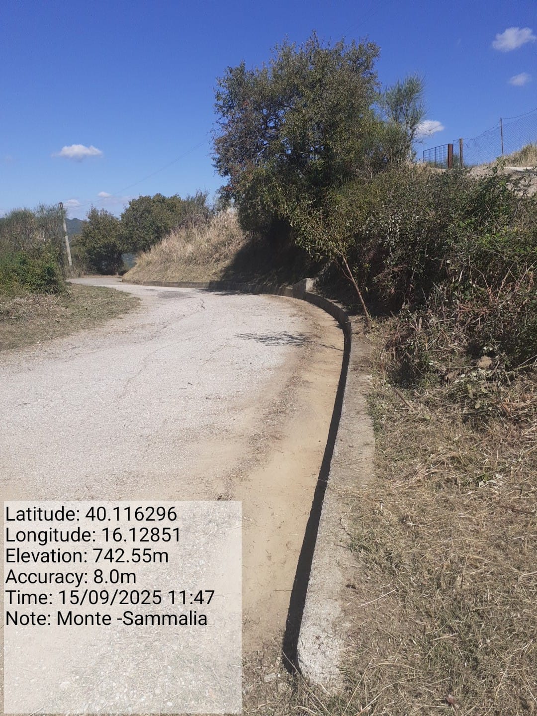 Galleria Fotografica Immagine