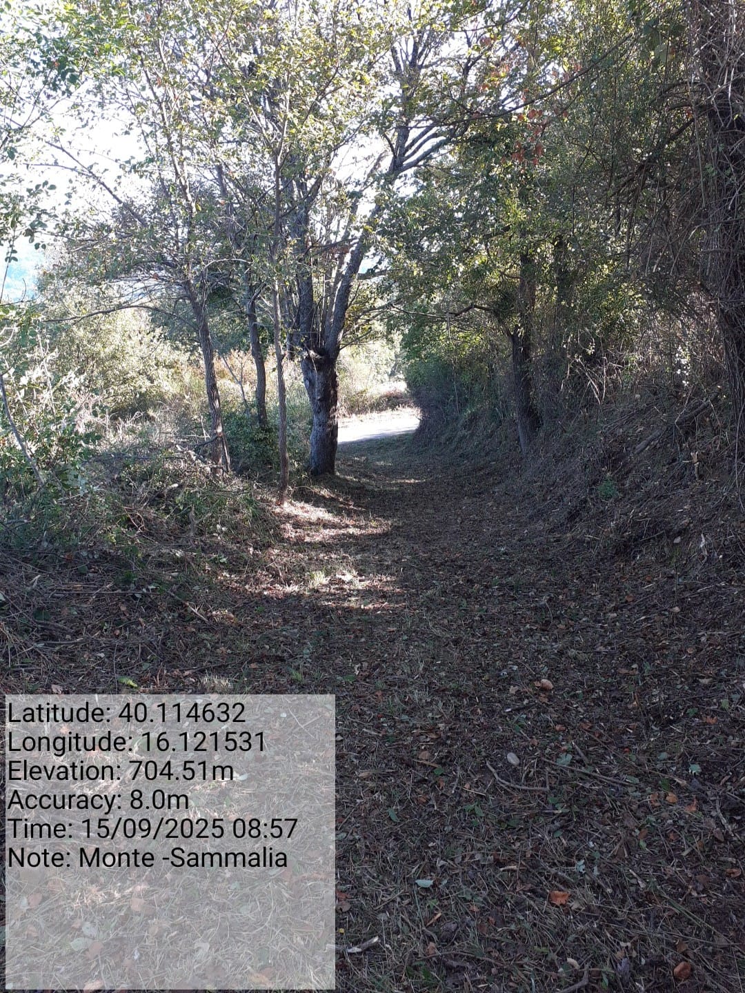 Galleria Fotografica Immagine