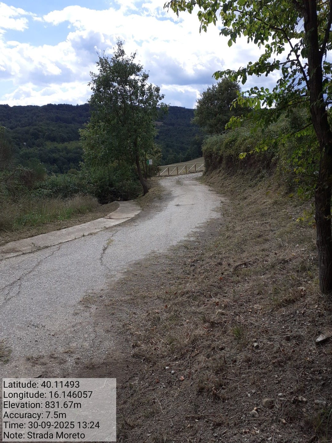 Galleria Fotografica Immagine