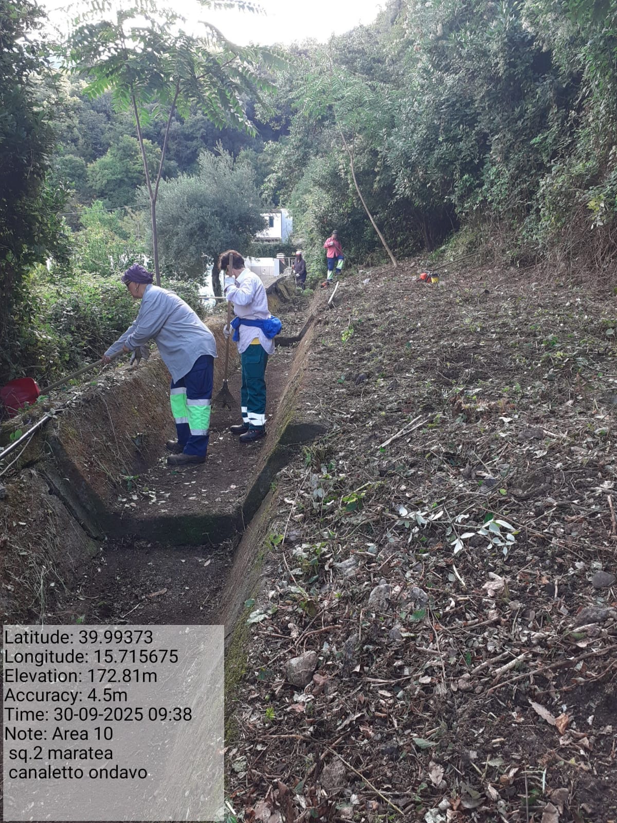 Galleria Fotografica Immagine